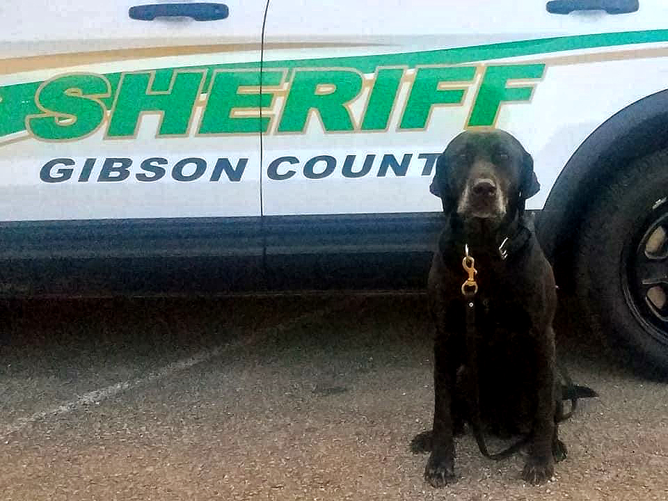 15f13cbd 6886 481c 8c78 98c9d09adc62